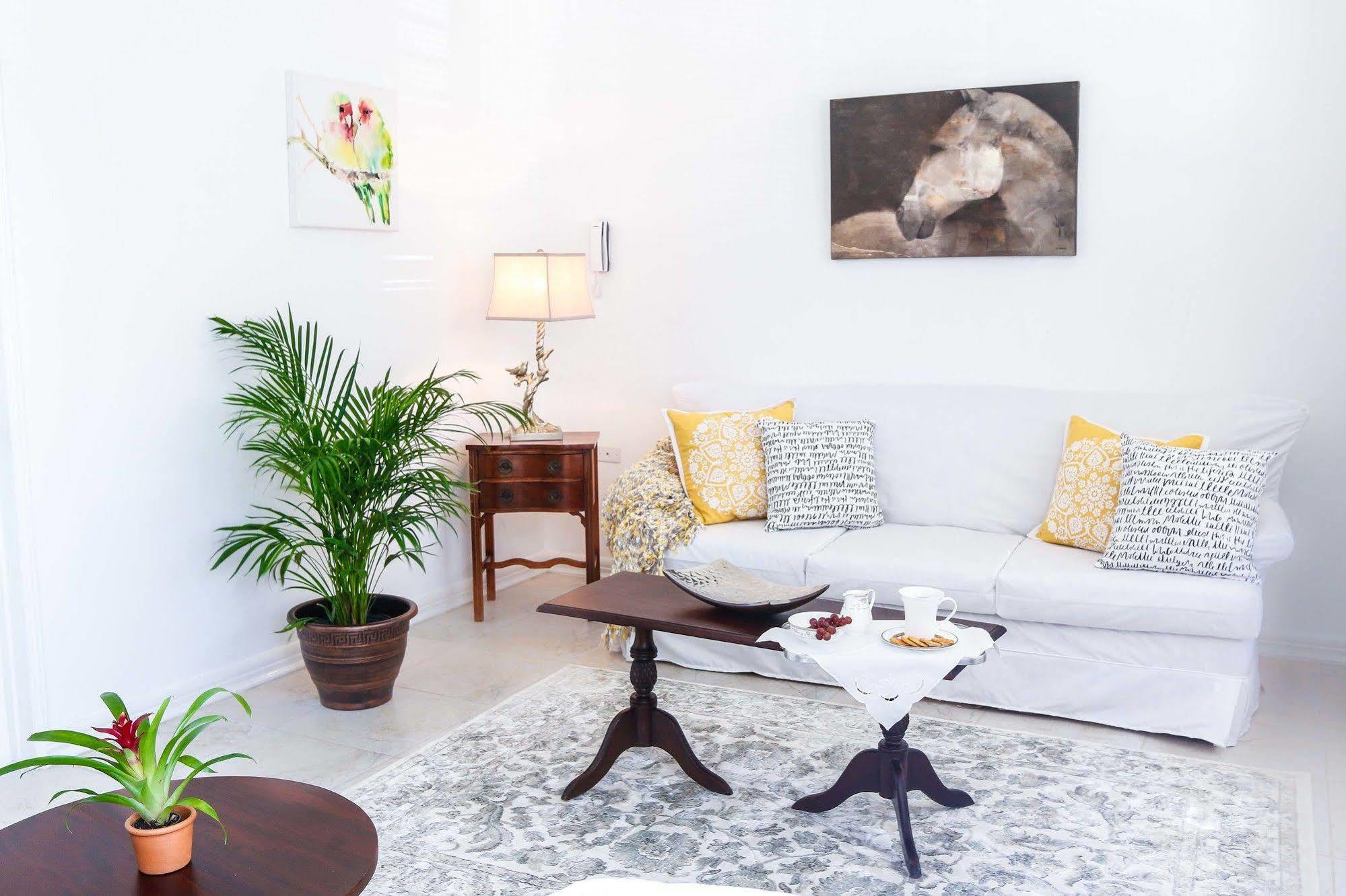Cattleya'S New Kingston Guest Apartment Exterior photo